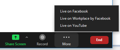 Hướng dẫn sử dụng cơ bản Zoom Webinar