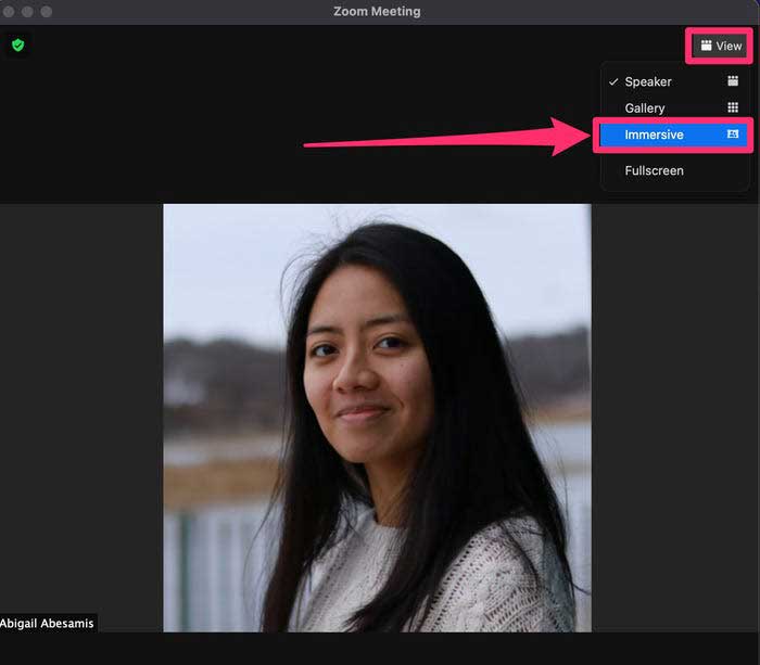 Immersive View Zoom là gì? cách sử dụng tính năng Immersive View tạo phòng học ảo